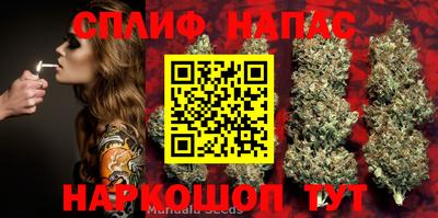 ГАЛЛЮЦИНОГЕННЫЕ ГРИБЫ Магадан