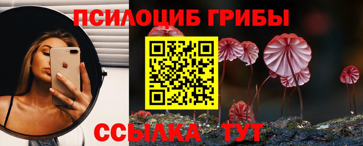 Псилоцибиновые грибы Cubensis  Вход с VPN  Иваново 